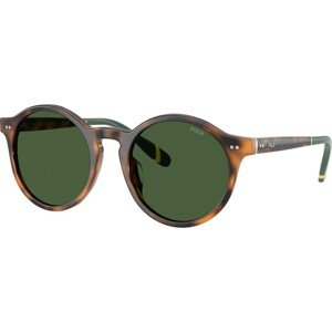 Polo Ralph Lauren PH4204U 608971 - M (50)