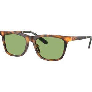 Polo Ralph Lauren PH4205U 6089/2 - ONE SIZE (56)