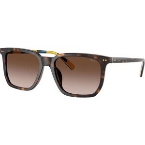 Polo Ralph Lauren PH4224U 500313 - ONE SIZE (55)