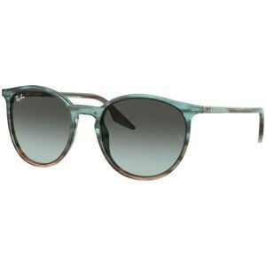 Ray-Ban RB2204 1394GK - M (51)