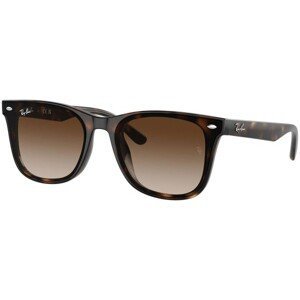 Ray-Ban RB4420 710/13 - ONE SIZE (65)