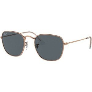 Ray-Ban Frank RB3857 9202R5 - M (51)