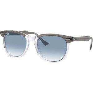 Ray-Ban Eagleeye RB2398 13553F - L (56)