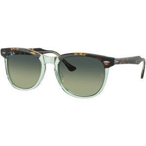 Ray-Ban Eagleeye RB2398 1376BH - L (56)