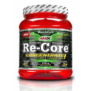 Re-Core Concentrate - Amix 540 g Fruit Punch