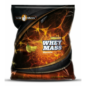 Excelent Whey Mass - Still Mass 4000 g Chocolate