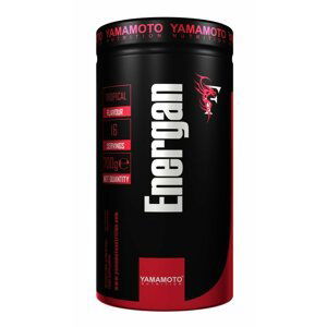 Energan (speciální nápoj určený během tréninku) - Yamamoto 700 g Tropical