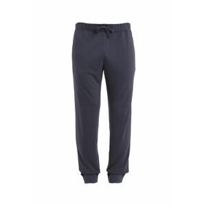 ICEBREAKER Mens Merino Shifter II Pants, Graphite velikost: M