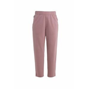 ICEBREAKER Wmns Merino Crush II Ankle Pants, Crystal velikost: M