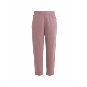 ICEBREAKER Wmns Merino Crush II Ankle Pants, Crystal velikost: XS