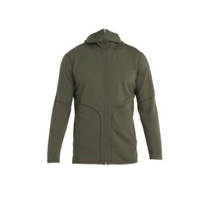 ICEBREAKER Mens Merino 560 Realfleece EleMtal II LS Zip H, Loden velikost: M