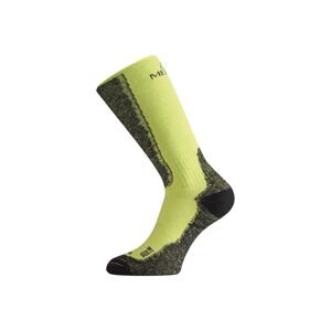 Lasting WSM 689 zelené vlněné ponožky Velikost: (34-37) S ponožky