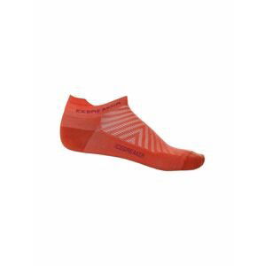 ICEBREAKER Mens Run+ Ultralight Micro, Vibrant Earth/Go Berry velikost: L