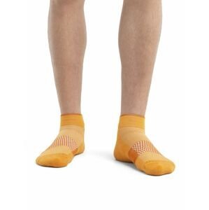 Pánské merino ponožky ICEBREAKER Mens Multisport Light Mini, Solar/Earth velikost: 44,5-46,5 (L)