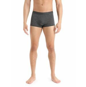 Pánské boxerky ICEBREAKER Mens Anatomica Cool-Lite™ Trunks, Monsoon Heather velikost: XL