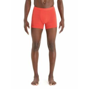 ICEBREAKER Mens Anatomica Cool-Lite™ Boxers, Vibrant Earth velikost: L