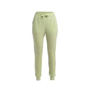 ICEBREAKER Wmns Merino Crush II Pants, Glazen velikost: XS