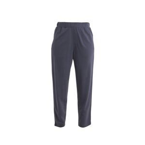 ICEBREAKER Wmns Merino Crush II Ankle Pants, Graphite velikost: XL