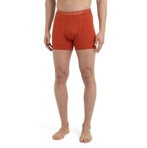 Pánské merino boxerky ICEBREAKER Mens Anatomica Boxers, Molten velikost: XL