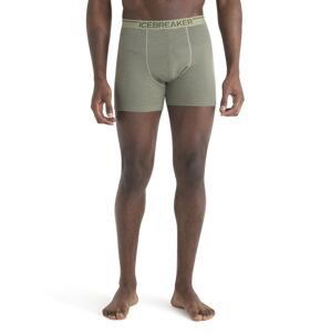 ICEBREAKER Mens Anatomica Boxers, Lichen/Loden velikost: XL