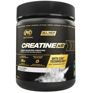 PVL Gold Series Creatine X8 249 g