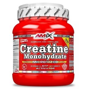 Amix Nutrition Amix Creatine Monohydrate 500 g