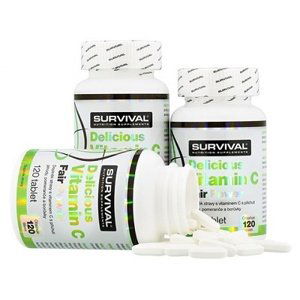 Survival Delicious Vitamin C Fair Power 120 tablet