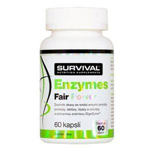 Survival Enzymes Fair Power 60 kapslí