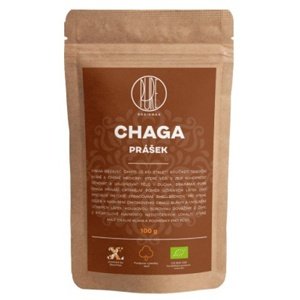 BrainMax Pure Chaga BIO prášek 100 g