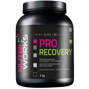 Nutriworks Pro Recovery 2000 g - malina