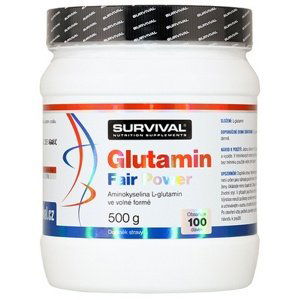 Survival Glutamin Fair Power 500 g