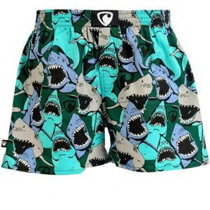 TRENKY REPRESENT EXCL. ALI HAPPY SHARKS - modrá