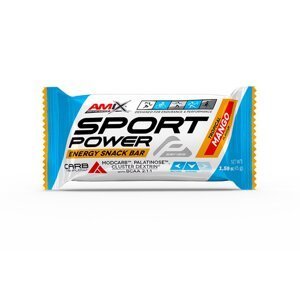 AMIX Sport Power Energy Snack Bar, Mango, 45g