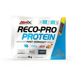 AMIX Reco-Pro, Double Chocolate, 20x50g