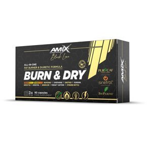 AMIX Black Line Burn & Dry Blister, 90cps