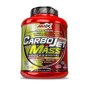 AMIX CarboJet Mass Pro 30, Forest Fruit, 1800g