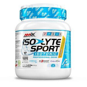 AMIX Isolyte Sport Drink, Orange, 510g