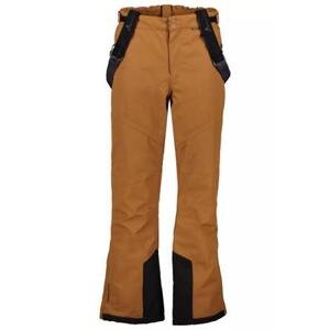 Whistler Pánské lyžařské kalhoty Drizzle M Ski Pant W-Pro 10000 rubber XL