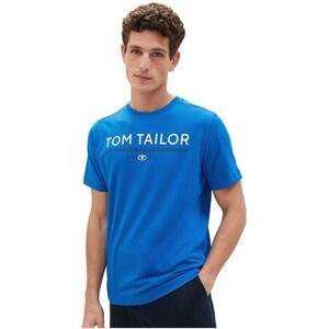 Tom Tailor Pánské triko Regular Fit 1040988.12393 L