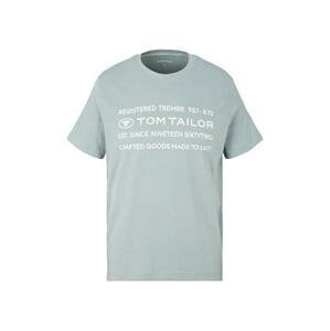 Tom Tailor Pánské triko Regular Fit 1034398.28129 L