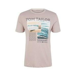 Tom Tailor Pánské triko 1035550.31508 3XL, XXXL