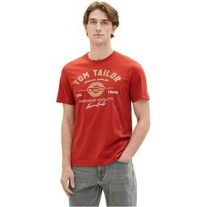 Tom Tailor Pánské triko Regular Fit 1037735.14302 3XL, XXXL