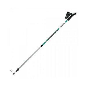 Hole Gabel Vario S-9.6 Teal na nordic walking