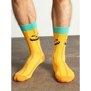 Fashionhunters Ponožky-WS-SR-5604-vícebarevné Velikost: 36-40