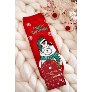 Kesi Dětské ponožky "Merry Christmas" Lední medvěd červene 28-31, Červená