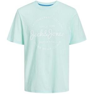 Jack&Jones Pánské triko JJFOREST Standard Fit 12247972 Soothing Sea S