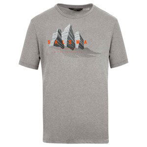 Pánské tričko Salewa Lines Graphic Dry M T-Shirt. Velikost: XL / Barva: zelená