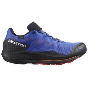 Pánské běžecké boty Salomon Pulsar Trail Gtx Velikost bot (EU): 42 / Barva: modrá/černá