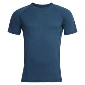 Pánské triko Alpine Pro Revin Velikost: XL / Barva: modrá