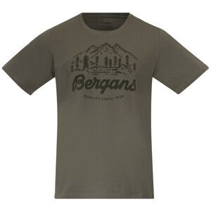 Pánské triko Bergans Classic V2 Tee Velikost: M / Barva: zelená